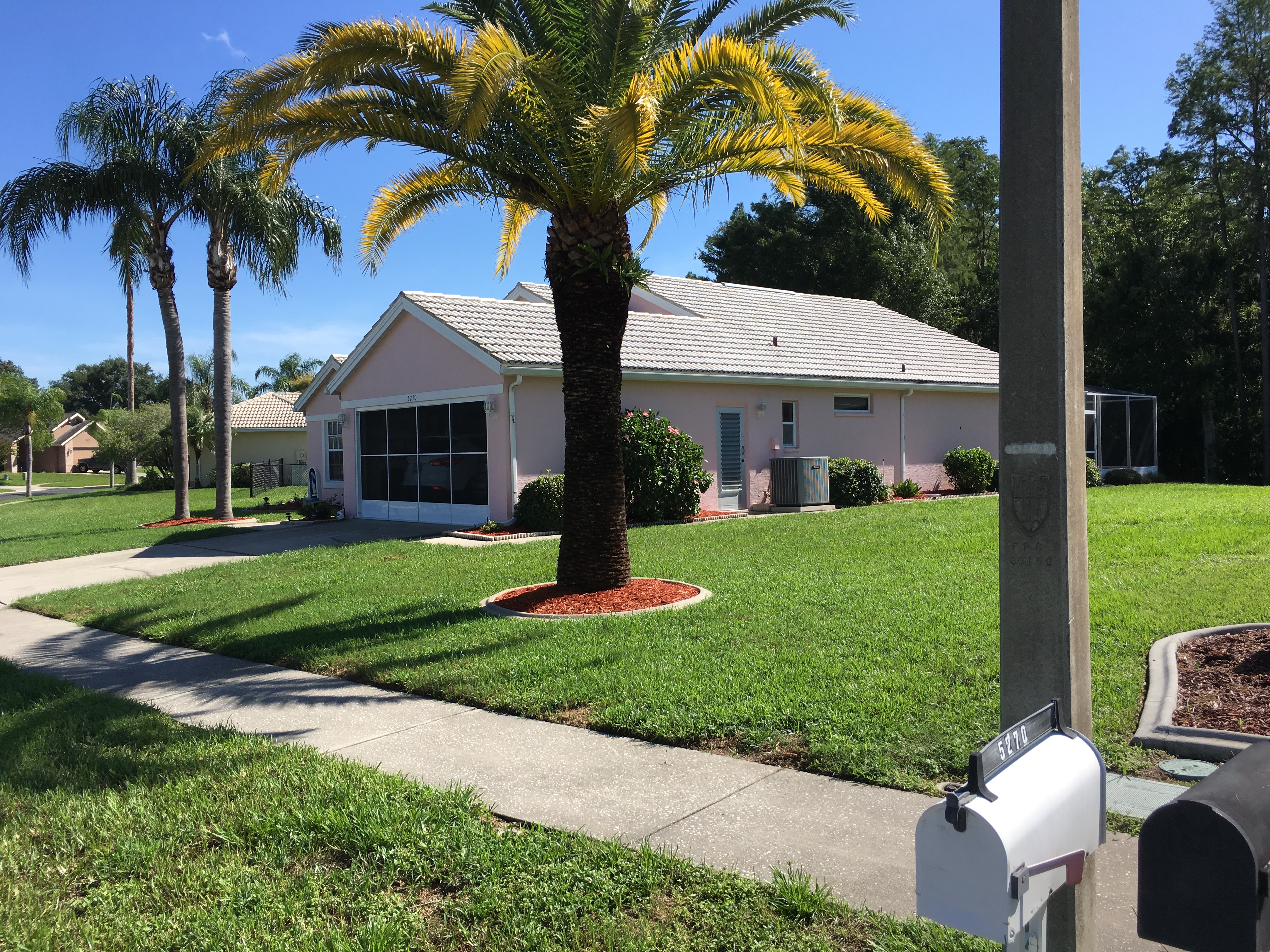 roof-cleaning-pressure-washing-new-port-richey.jpg