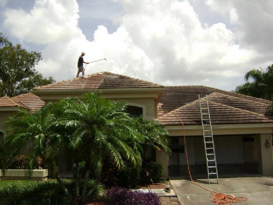 ROOF CLEANING NEW PORT RICHEY