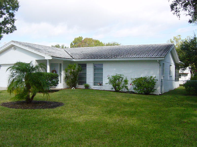 Tampa Tile Roof Cleaning Palm Harbor FL